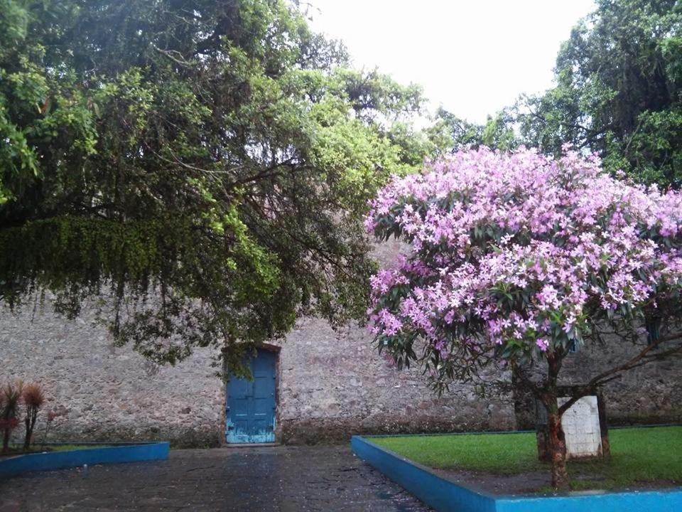 Hotel Pousada Ramos Na Areia Itanhaém Exterior foto